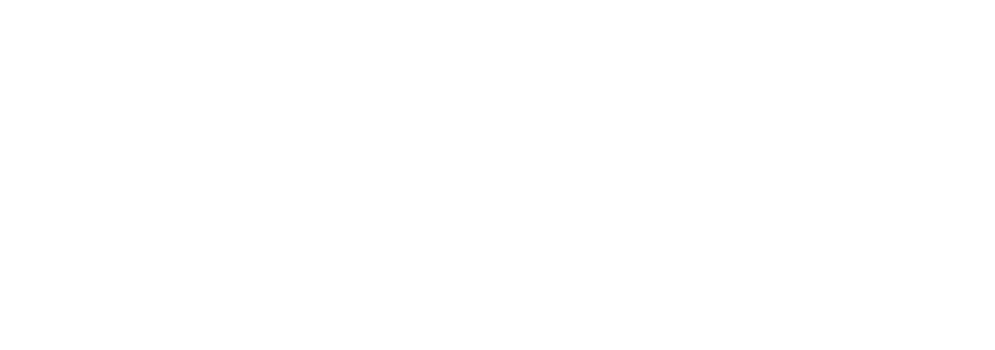 Wizard Midia Logo
