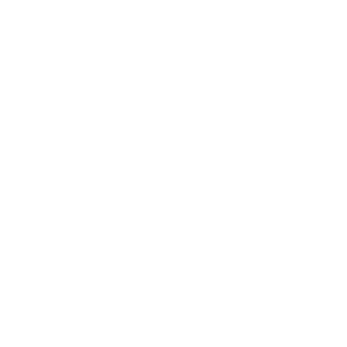Wizard Midia Logo